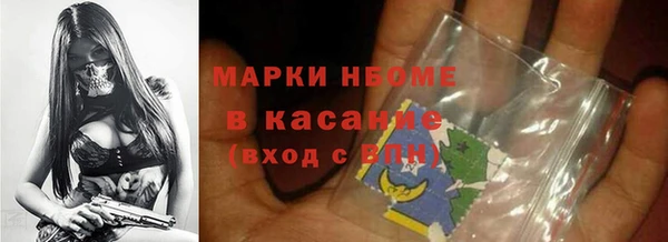 хмурый Алексин