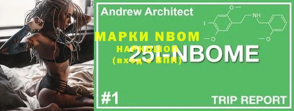 хмурый Алексин