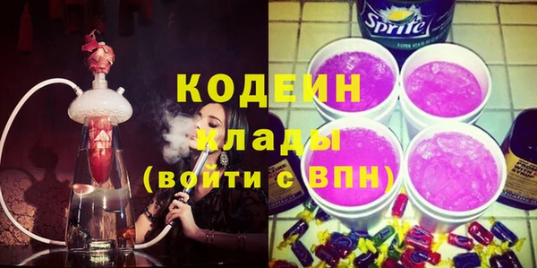 хмурый Алексин