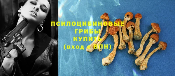 крисы Алзамай