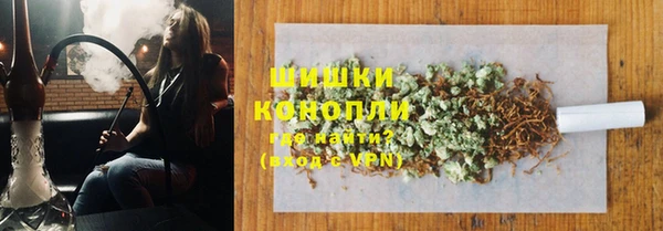 дживик Абаза