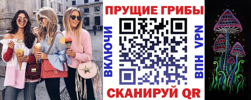 Галлюциногенные грибы Magic Shrooms  Кемерово 